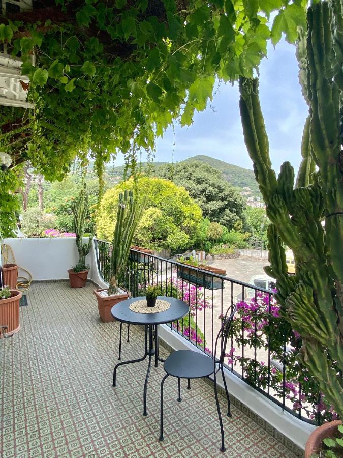Casa Malo' Bed & Breakfast Ischia
