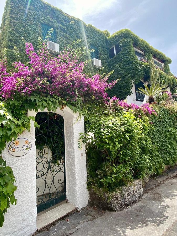 Casa Malo'