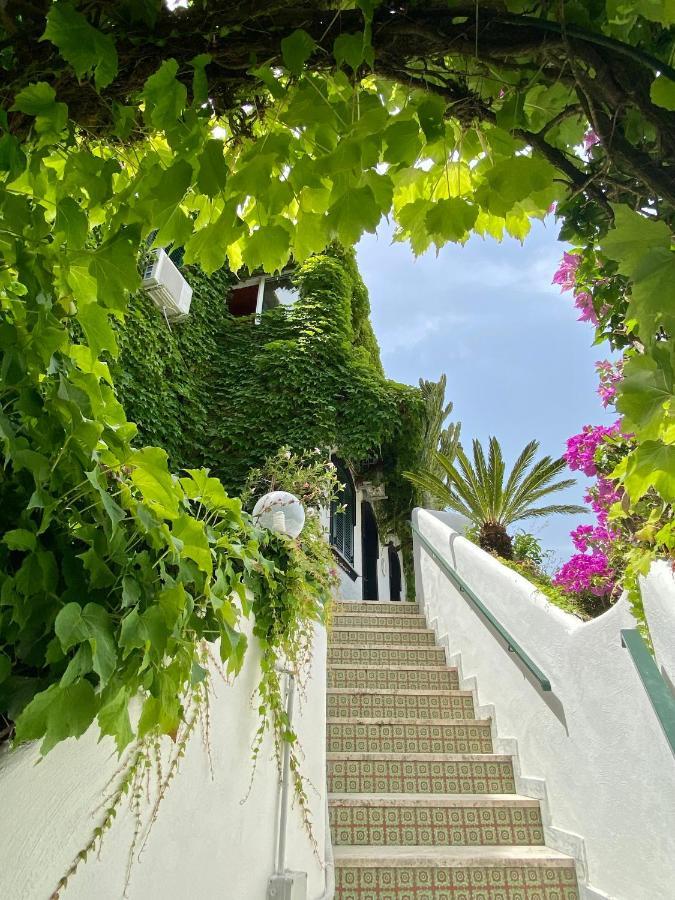 Casa Malo' Ischia